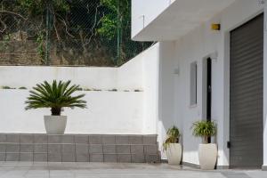two potted plants sitting on the side of a house at Prestige house 4 in Scalea