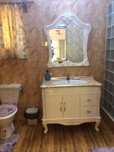 a bathroom with a sink and a toilet and a mirror at Mirella Villa Ocean View Villa in Praslin +15 photos