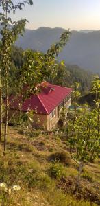 a house with a red roof on top of a hill at Shanti Jungle cottage in Mashobra