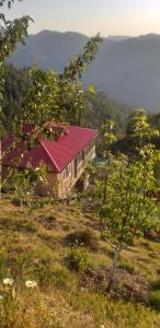 a house with a red roof on top of a hill at Shanti Jungle cottage in Mashobra