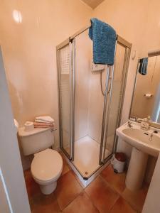 a bathroom with a shower and a toilet and a sink at St Anthonys B&B in Dungarvan