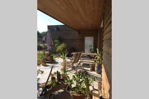 Maison individuelle avec terrasse proche de Bâle في Schlierbach: فناء مع كراسي ونباتات خزف