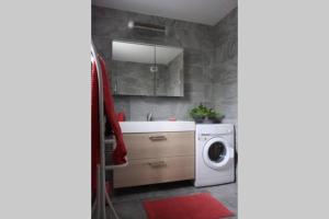 a bathroom with a washing machine and a sink at Maison individuelle avec terrasse proche de Bâle in Schlierbach