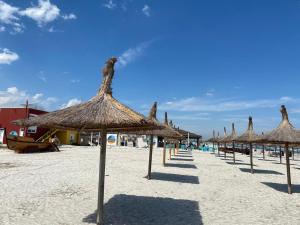 ママイア・ノルドにあるApartament Amyの浜辺の藁傘
