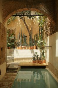 un charco de agua con un montón de cactus en FIXIE LOFTS Slow Life Villa, en Santo Domingo