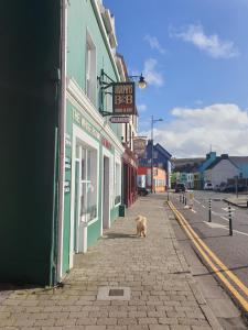 Imagen de la galería de Murphy's Guesthouse, en Dingle
