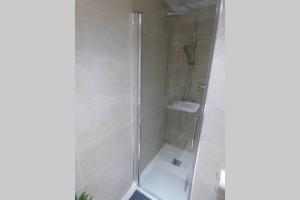 a shower with a glass door in a bathroom at NUEVO APARTAMENTO LUJO PLAYA MALAGUETA-CENTRO in Málaga +28 photos