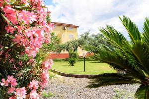 Foto da galeria de Villa erica appartamento Loredana em Villa San Pietro