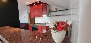 Gallery image of Apartman Marija in Cesarica