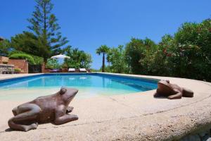 Der Swimmingpool an oder in der Nähe von Sa Vinyeta de Son Jaumell