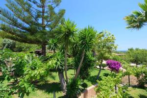 Ein Garten an der Unterkunft Sa Vinyeta de Son Jaumell