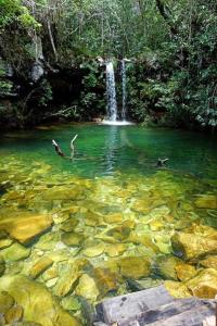 una cascada y patos nadando en una piscina de agua en casa axé luz no paraíso, en Alto Paraíso de Goiás