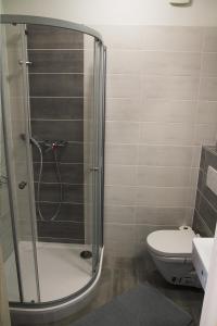 Koupelna v ubytování Velovíno apartmán