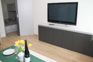 TV a/nebo společenská místnost v ubytování Velovíno apartmán