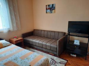 a living room with a couch and a flat screen tv at Apartman Izvor in Vrnjačka Banja