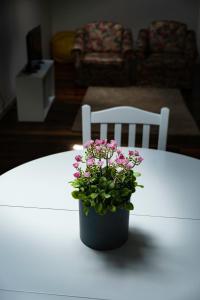 a black pot with pink flowers sitting on a table at CC Guest House - "Ao Mercado" in Ponta Delgada