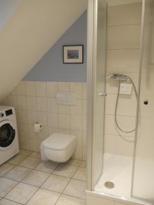 a bathroom with a toilet and a shower at Lindenhof Wohnung 3, Dachgeschoß in Vipperow +21 photos