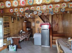 a kitchen with a refrigerator and plates on the wall at Cabana Roșia in Roşia
