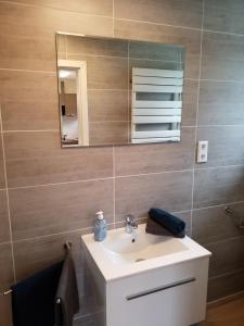 W łazience znajduje się umywalka i lustro. w obiekcie Ferienwohnung Kleines Nest w mieście Hohendodeleben