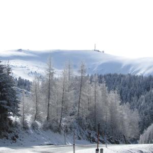 Sankt Stefan im LavanttalにあるHotel Garni Gästehaus Karinの遠くに木々が積もる雪の丘