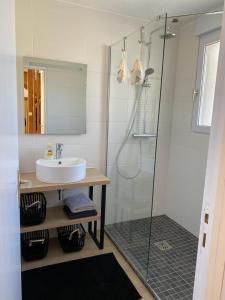 a bathroom with a sink and a shower at Maison Ile de Batz à 150m des plages in Île de Batz
