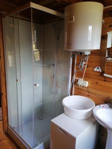 a bathroom with a shower and a toilet and a sink at Domek Jantar in Jantar