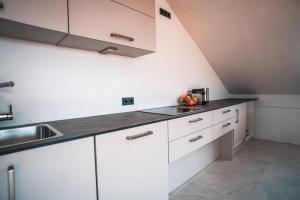 Kuchyň nebo kuchyňský kout v ubytování VISITALPS moderne Ferienwohnung nähe München u Salzburg
