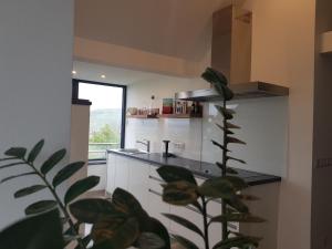 Kuchyň nebo kuchyňský kout v ubytování Apartments Metzingen Panoramablick