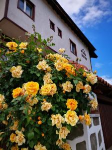 a bunch of yellow flowers on the side of a building at Zigen House in Bansko