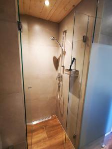 Kopalnica v nastanitvi Ferienwohnung Brugger