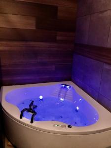 a bath tub filled with blue water in a room at Studio cocooning Spa, lit XXL, cour extérieure in Le Puy en Velay