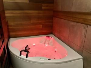 Φωτογραφία από το άλμπουμ του Studio cocooning Spa, lit XXL, cour extérieure σε Le Puy en Velay