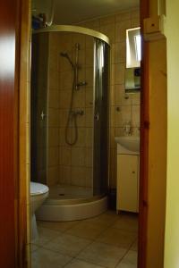 ein Bad mit einer Dusche, einem WC und einem Waschbecken in der Unterkunft Zacisze nad Sanem Załuż 129 in Załuż
