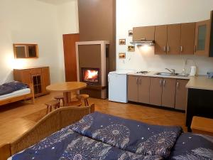 a room with a kitchen and a living room with a stove at Drzewosfera in Wilcze
