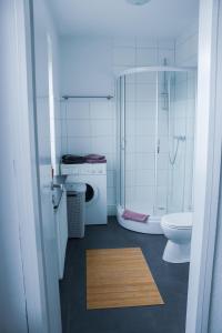 リューネブルクにあるAppartement-an-der-Ilmenauのバスルーム(シャワー、トイレ、シンク付)