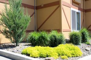 Zahrada ubytování Comfort Inn & Suites Ashland