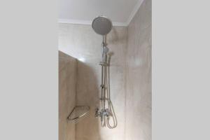a shower with a shower head in a bathroom at Eva's Guesthouse in Éxo Goniá