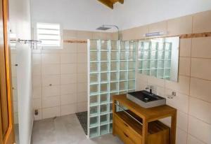 a bathroom with a sink and a shower at Maison cosy avec jardin à Anse-Bertrand in Anse-Bertrand +9 photos