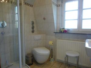 a bathroom with a toilet and a shower and a sink at Herrenhaus Poppelvitz in Maltzien