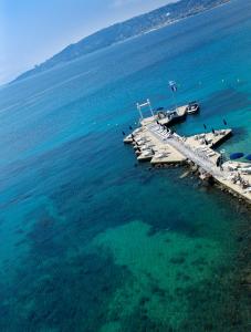 an aerial view of a dock with boats in the water at Hôtel Belles Rives in Juan-les-Pins