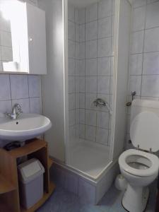 a bathroom with a shower and a toilet and a sink at Apartment Lopar 10 in Lopar