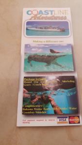 een tijdschrift met een foto van een hond in het water bij Fishtails Palms - Tamarind in Stuart Manor