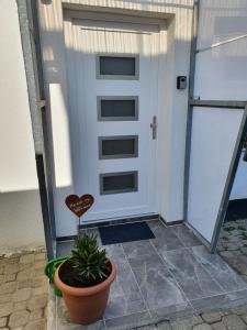 a white garage door with a plant in a pot at Ferienwohnung Kleine Südpfalz in Zeiskam