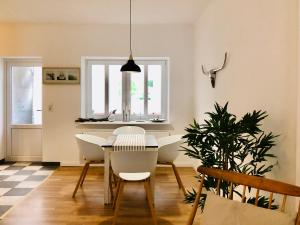 ein Esszimmer mit einem Tisch, Stühlen und einer Pflanze in der Unterkunft Altstadthus-gemütliches Ferienhaus mit Gärtchen in Friedrichstadt