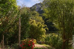 a garden with trees and flowers and a lake at Marie Colline à la Campagne in Saint-Antonin