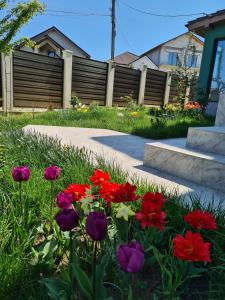 Photo de la galerie de l'établissement Vila Fara Nume, à Mamaia Nord – Năvodari 58 autres photos