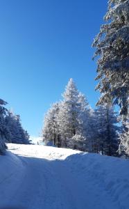 a snow covered road with trees on a hill at Harz-Glück1 in Braunlage +4 photos