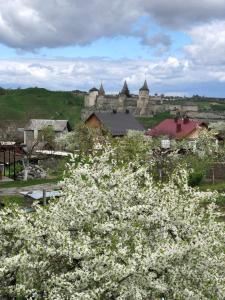 ein Schloss in der Ferne mit weißen Blumen im Vordergrund in der Unterkunft Vacation home Lubov in Kamjanez-Podilskyj