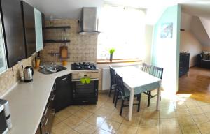Una cocina o cocineta en KATRINA APARTAMENTY