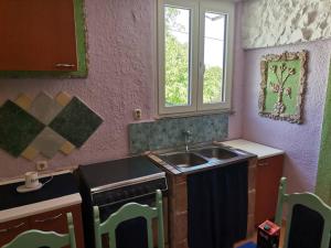a small kitchen with a sink and a window at Apartman SIRENA in Pićan